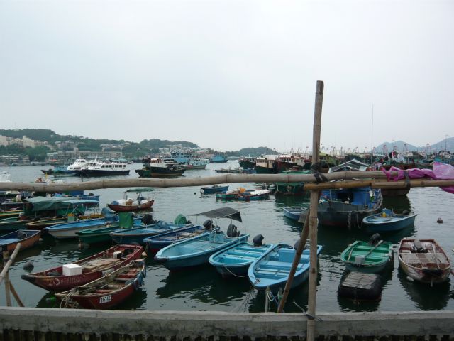 P1000729 P1000729